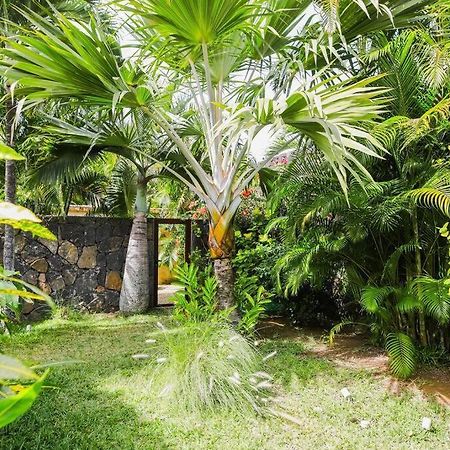 Villa Tropicale Balinaise Intimiste Grand-Baie Exterior photo
