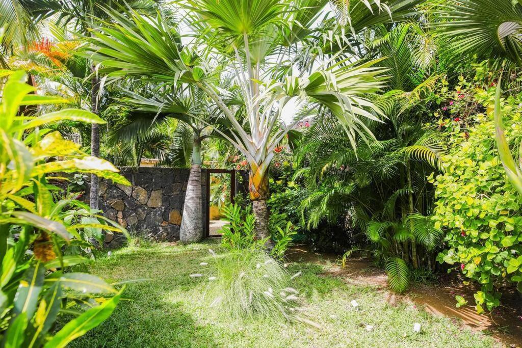 Villa Tropicale Balinaise Intimiste Grand-Baie Exterior photo